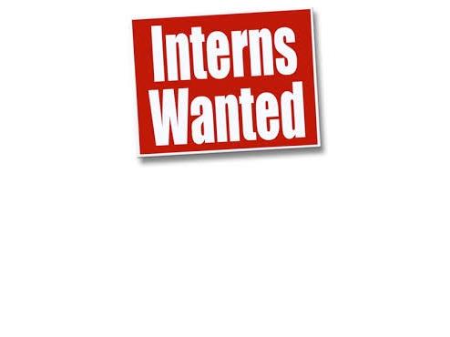 Rebels Seeking Marketing Interns