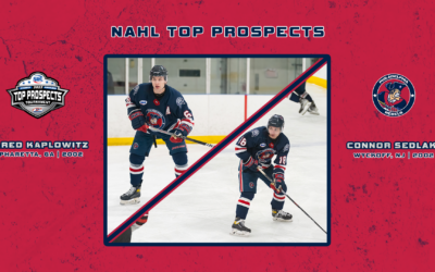 Kaplowitz and Sedlak Named to Top Prospects